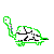 turtle005